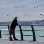 old man, sea, seagulls, man, pier, boardwalk, old man, old man, old man, old man, nature, old man, man, man, man